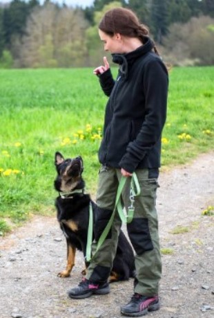 Attitüdenhunde Westerwald -mobiles Training für Hund & Mensch